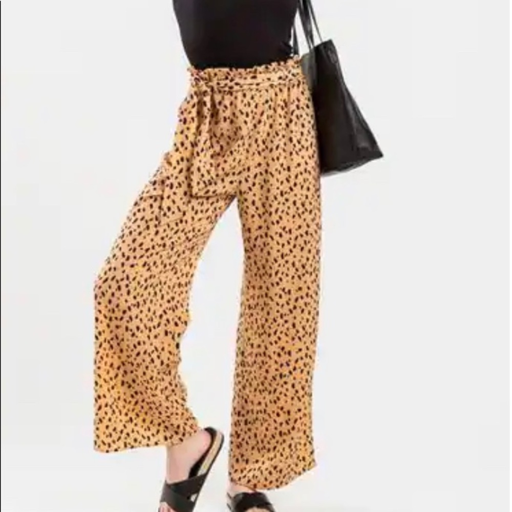 francesca’s leopard print wide leg pants